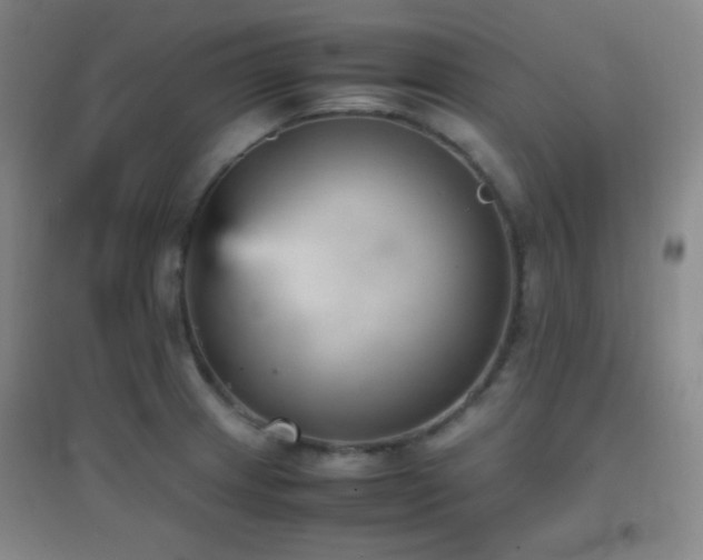 X0000096731233200802051432