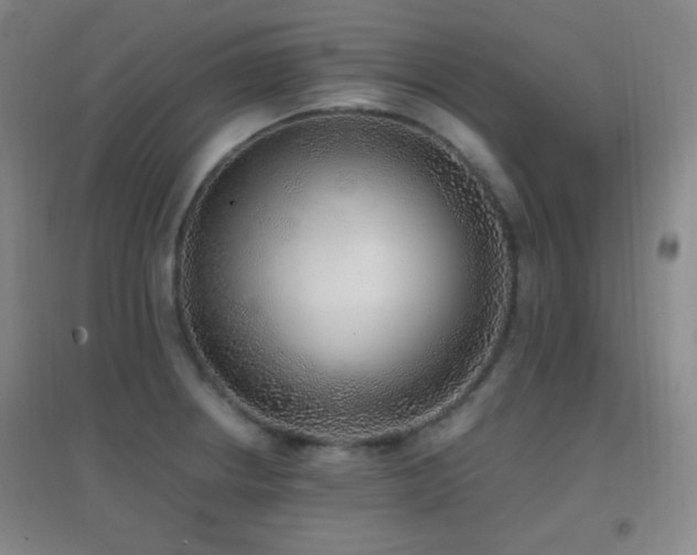X0000096731234200802051432