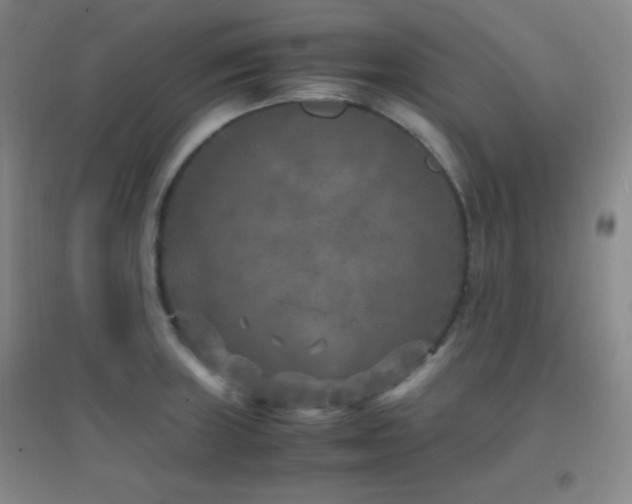 X0000096731235200802051432