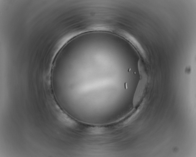 X0000096731236200802051432