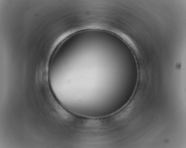 X0000096731238200802051432