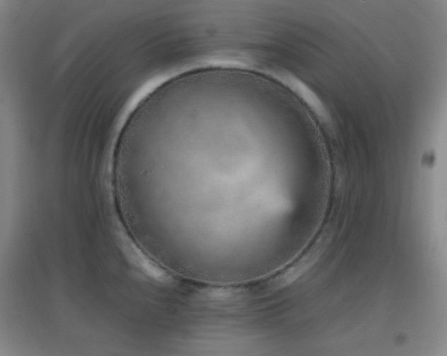 X0000096731240200802051432
