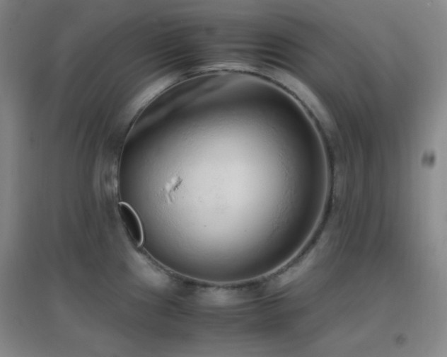 X0000096731241200802051432