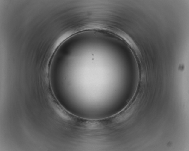 X0000096731242200802051432