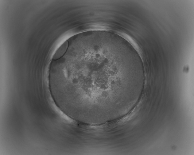 X0000096731243200802051432