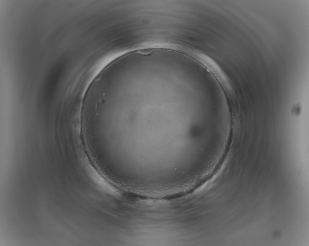 X0000096731244200802051432