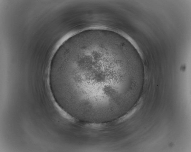 X0000096731245200802051432