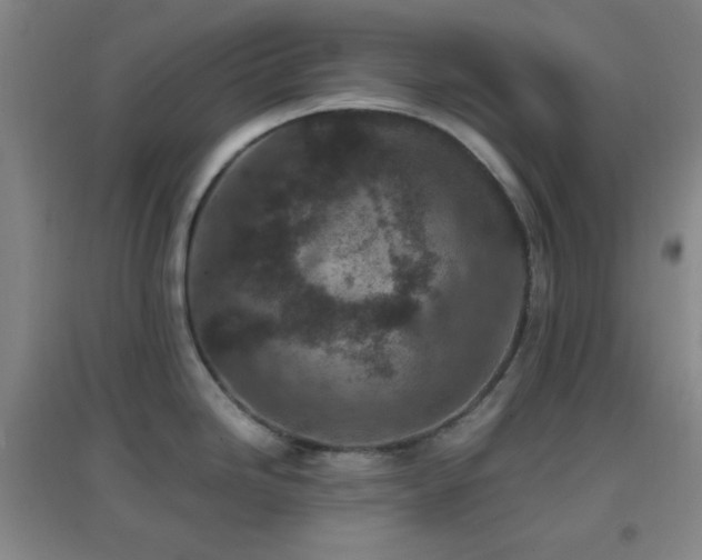 X0000096731246200802051432
