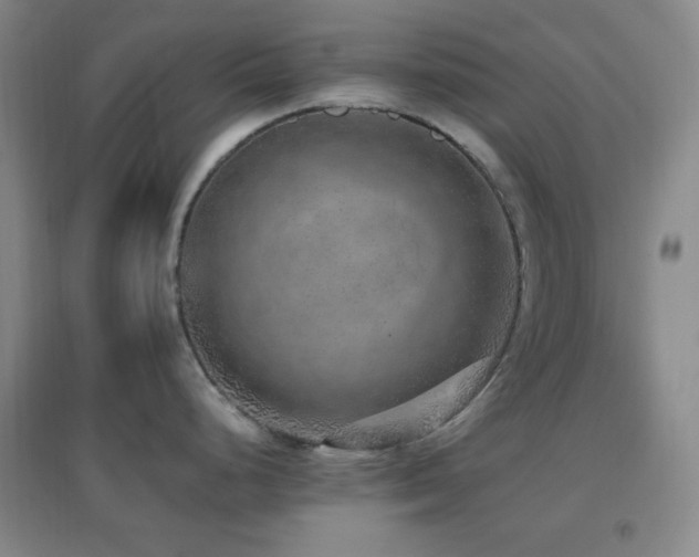 X0000096731248200802051432