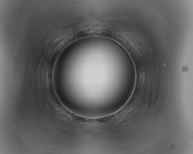 X0000096731250200802051431