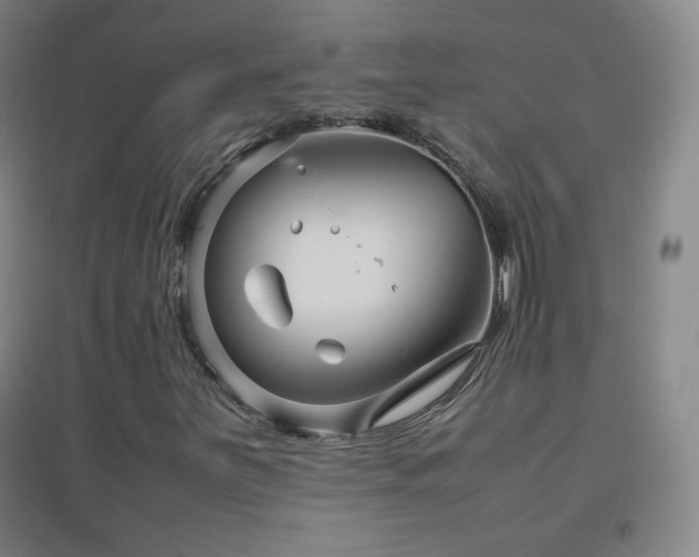 X0000096731251200802051431