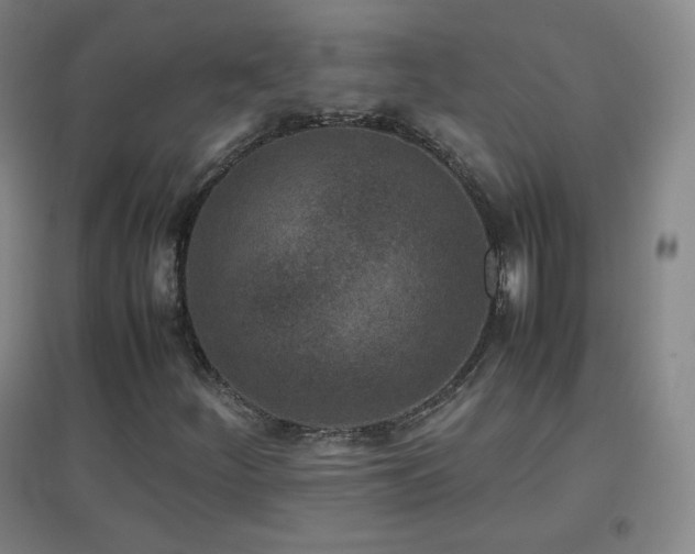 X0000096731252200802051431