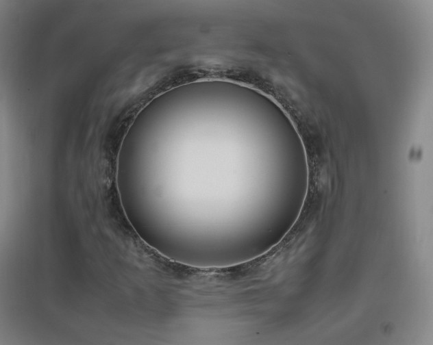 X0000096731253200802051431