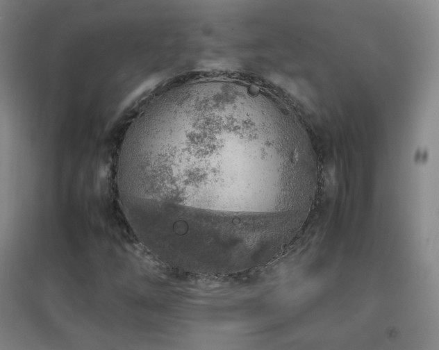 X0000096731254200802051431
