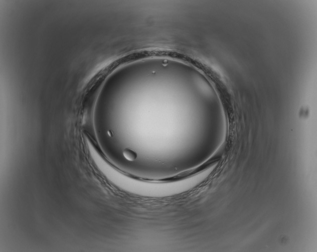 X0000096731255200802051431