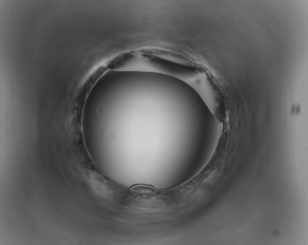 X0000096731256200802051431