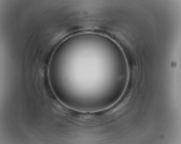 X0000096731257200802051431