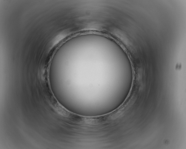 X0000096731258200802051431
