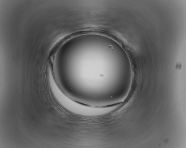 X0000096731259200802051431