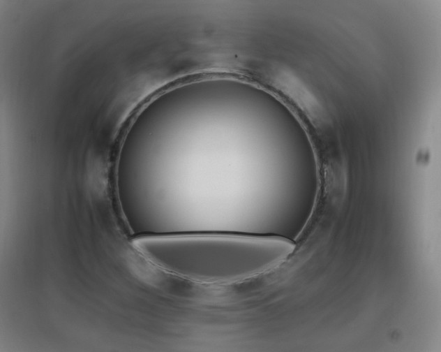 X0000096731260200802051431
