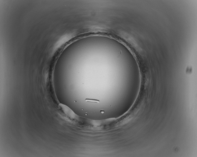 X0000096731261200802051431