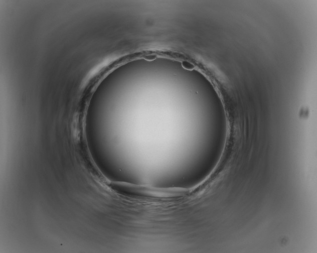 X0000096731262200802051431