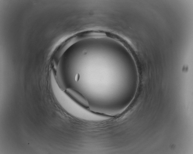 X0000096731263200802051431