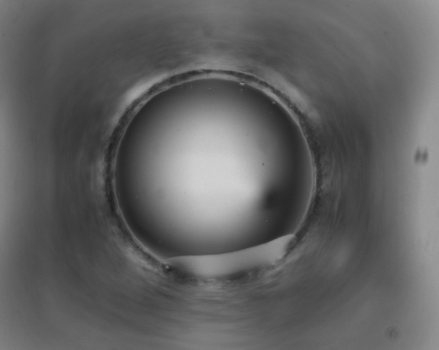 X0000096731264200802051431