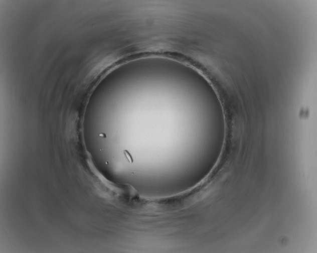 X0000096731265200802051431