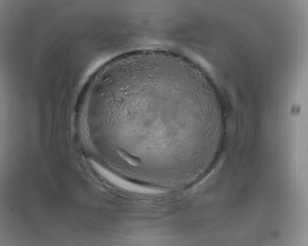 X0000096731267200802051431