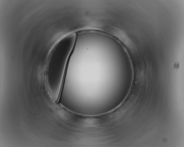 X0000096731268200802051431