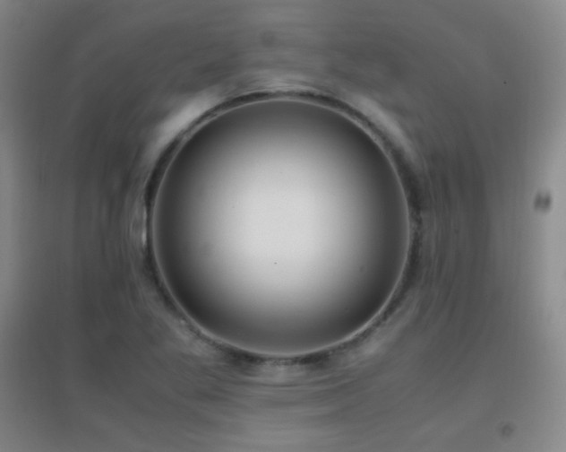 X0000096731269200802051431