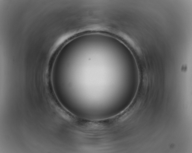 X0000096731270200802051431