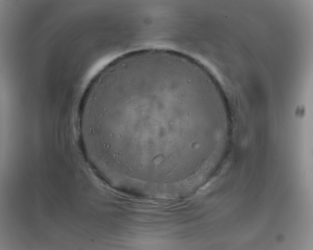X0000096731271200802051431