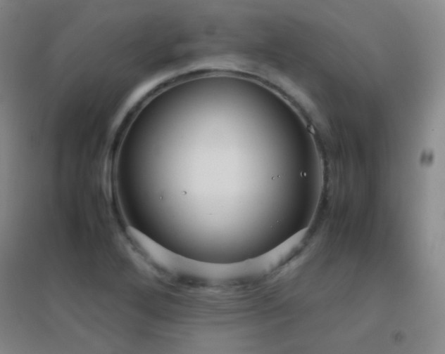 X0000096731272200802051431