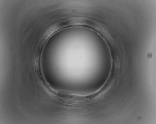 X0000096731273200802051431