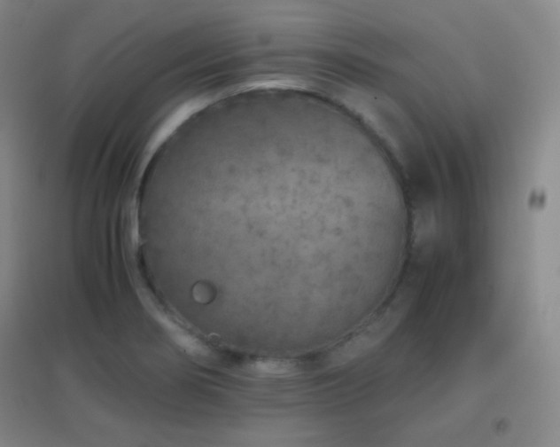 X0000096731274200802051431