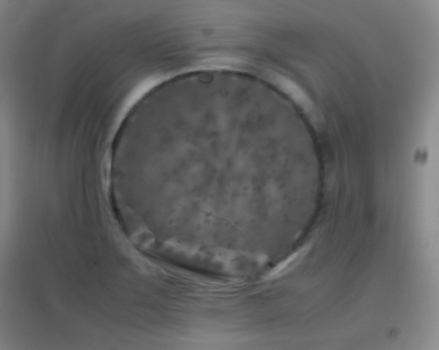 X0000096731275200802051431