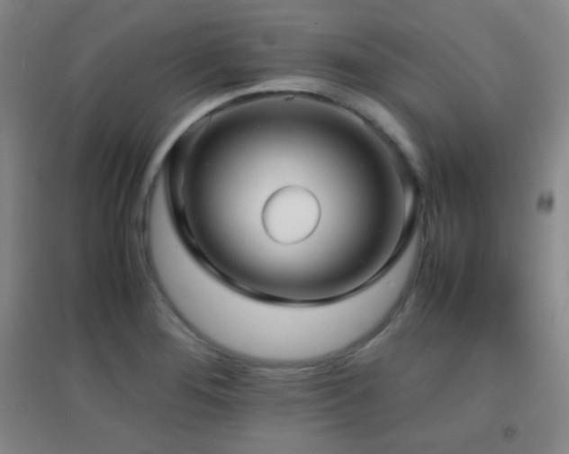 X0000096731276200802051431
