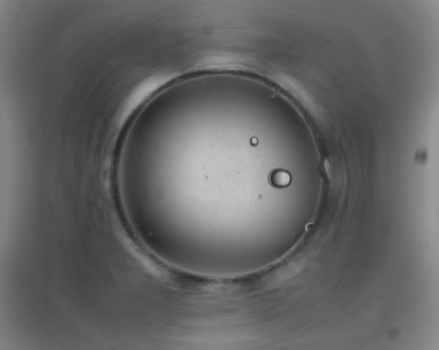 X0000096731277200802051431