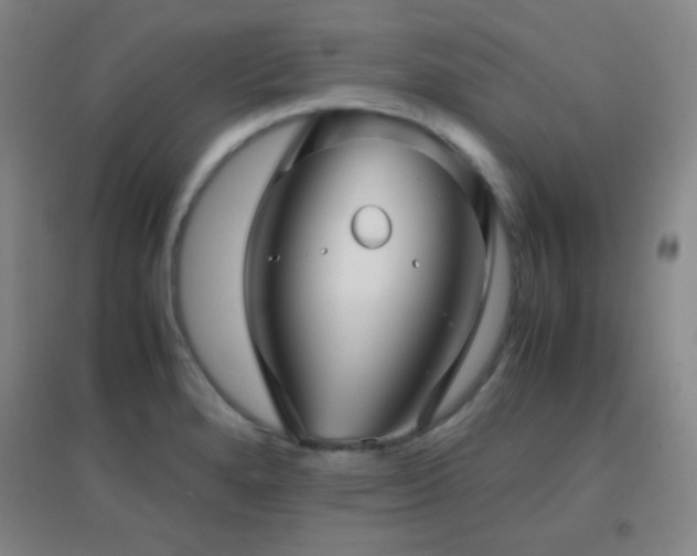 X0000096731280200802051431