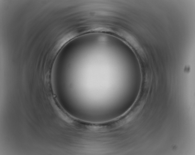 X0000096731281200802051431