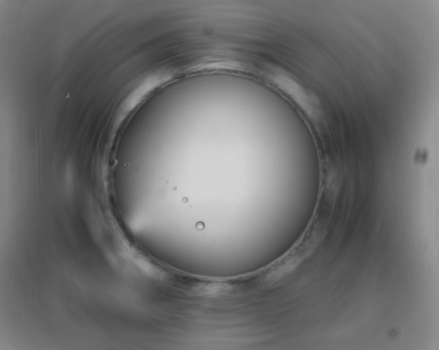 X0000096731282200802051431