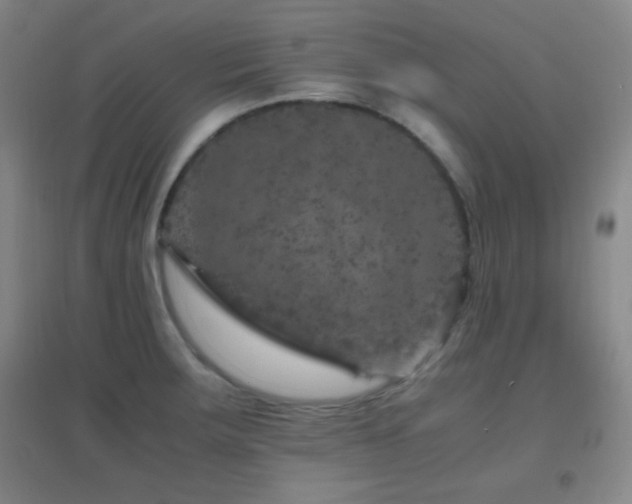 X0000096731283200802051431