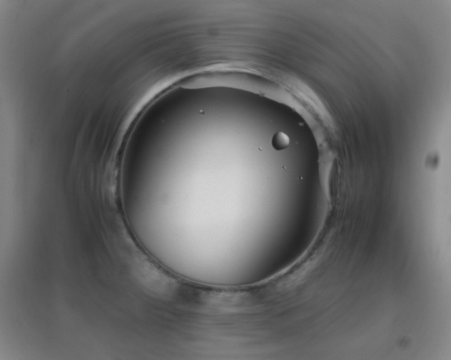 X0000096731284200802051431