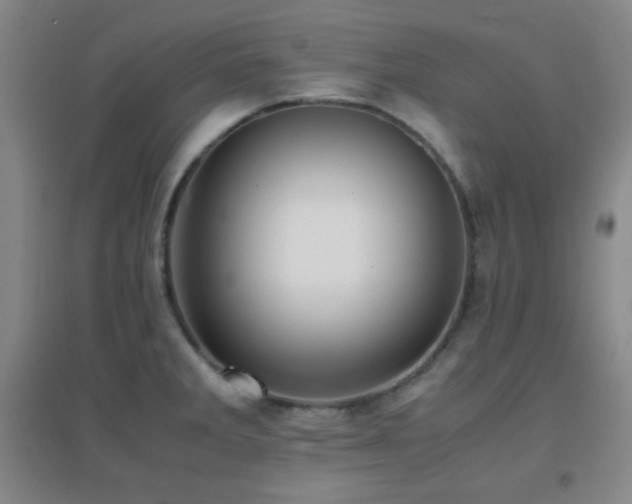 X0000096731285200802051431