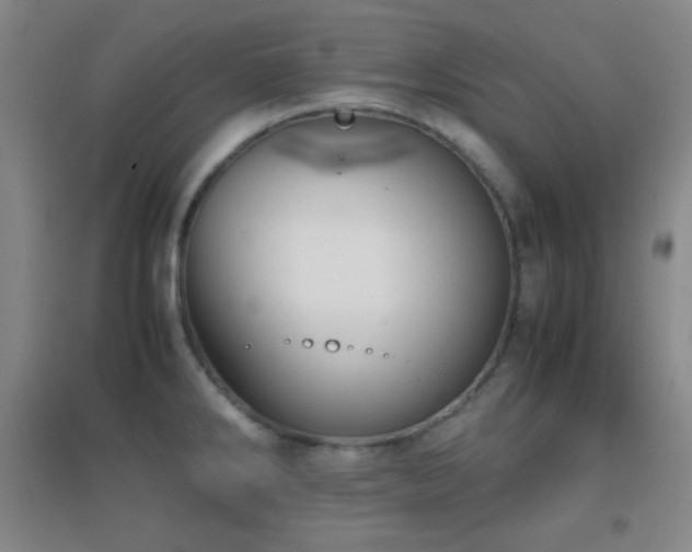 X0000096731286200802051431
