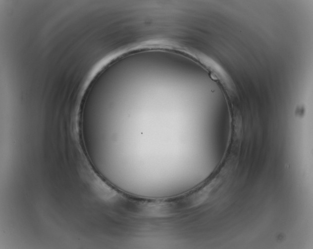 X0000096731288200802051431