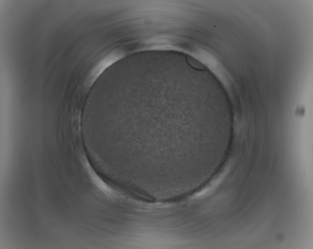 X0000096731289200802051431