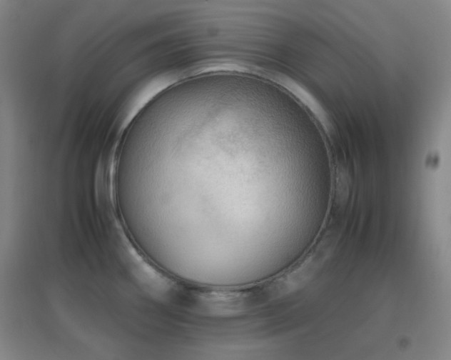 X0000096731290200802051431